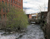 neponset river